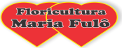 Floricultura Maria Fulô